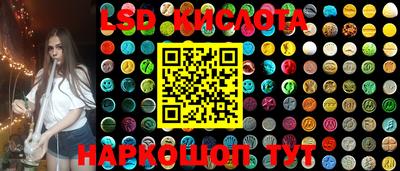 крисы Бийск