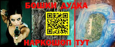 крисы Бийск