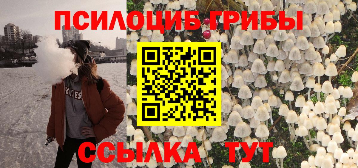 Псилоцибиновые грибы Psilocybine cubensis Берёзовский