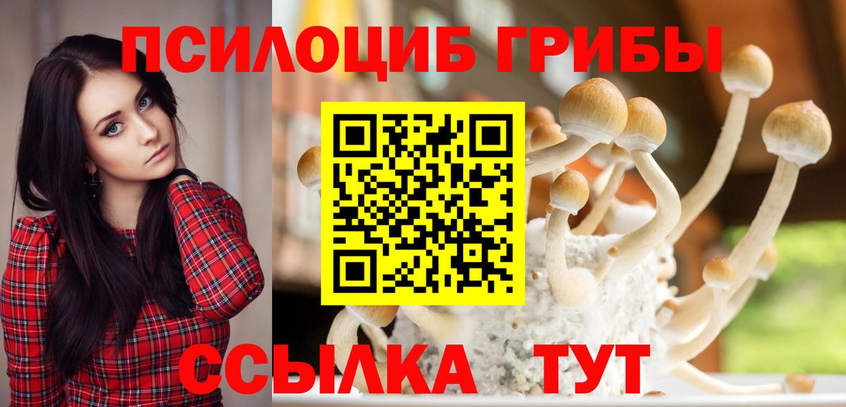 Берёзовский  Псилоцибиновые грибы GOLDEN TEACHER  Вход с VPN 