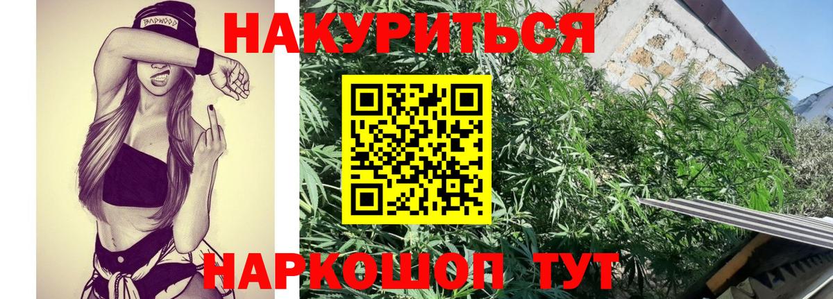 Каннабис конопля  Марихуана OG Kush  Вход с VPN  Берёзовский  Каннабис SATIVA & INDICA  Шишки марихуана марихуана 